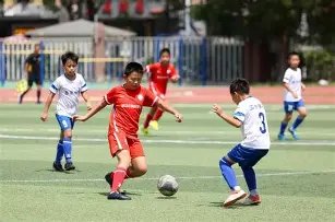 里约奥运金,牌得主宁泽,涛康复路艰,乐鱼体育,乐鱼体育官网,乐鱼体育官方,乐鱼体育下载