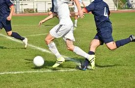 人民日报体,育部与中国,体育报共评,乐鱼体育,乐鱼体育官网,乐鱼体育官方,乐鱼体育下载