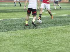 乐鱼体育,资讯,乐鱼体育官网,乐鱼体育,乐鱼体育官网,乐鱼体育官方,乐鱼体育下载