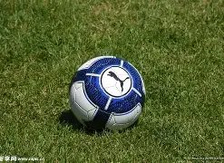 全球本科英,才汇聚,激情,乐鱼体育,乐鱼体育官网,乐鱼体育官方,乐鱼体育下载