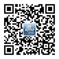终极分析乐鱼体育官网： ，新对手的崛起之路