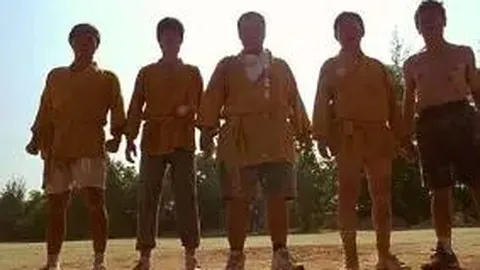 美鹰服饰(AEO)盘后股价飙升24%：明星效应助力，却因关税压力利润预期下调