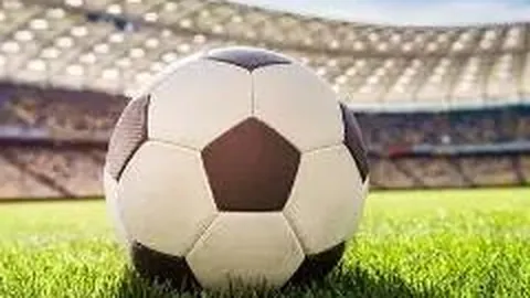 乐鱼体育 产品 093109 mvs