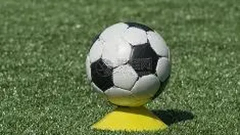 乐鱼体育 产品 103003 5r7